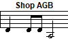 Shop AGB